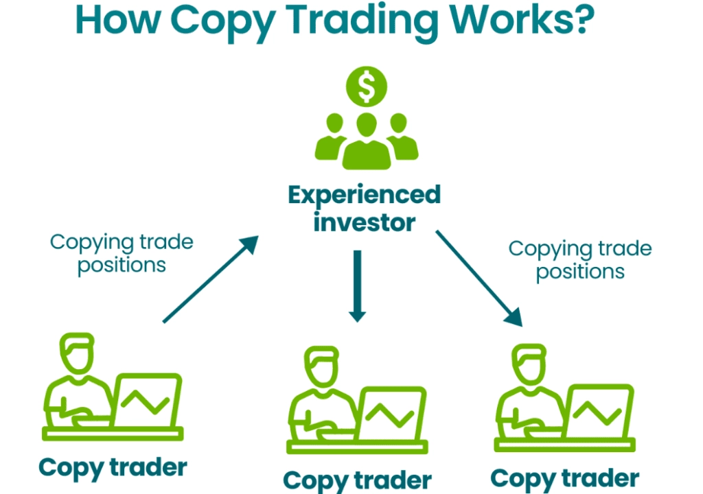 Copy trading explained infographic showing how to mirror expert traders on Cryptohopper