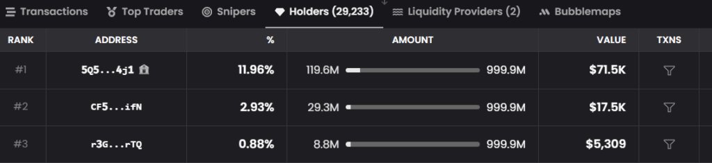 DexScreener holders data screenshot for evaluating meme coin potential