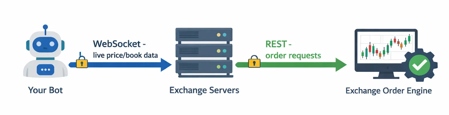 Diagram showing how a trading bot communicates with an exchange, with WebSocket data feed flowing in and REST order requests flowing out through an API key authentication layer