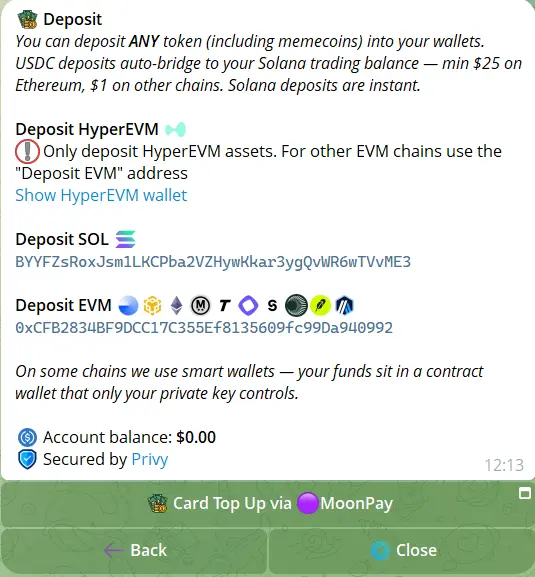 Deposit screen for arc memecoins trading without the bridge
